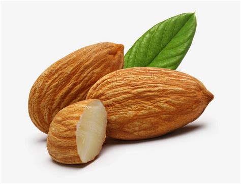 Kacang Almond Sumber Nutrisi Sehat Untuk Kesehatan Yang Ceria Radar