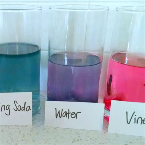 Red Cabbage pH Indicator | Kitchen Chemistry for Kids - Science Kiddo