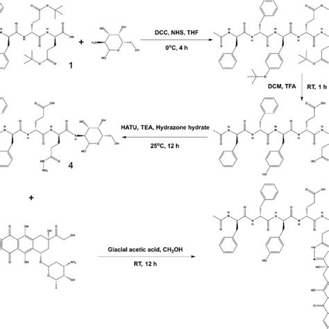 Uv Vis Spectrum Of D Gal Ffyee Hyd Dox And Dox Download Scientific