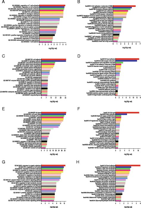 Potential Biological Function Of Aberrantly Expressed Lncrnas In Breast