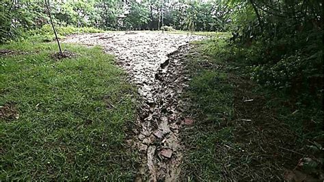 Gunung Anyar Mud Mountain In East Java There Are Five Active Mud