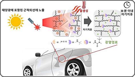 자동차 표면흠집 햇빛으로 수리화학연 자가치유 코팅기술 개발 공감언론 뉴시스통신사