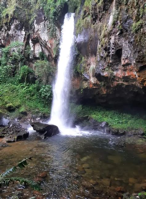 Tenango de Doria Hidalgo México Cultural