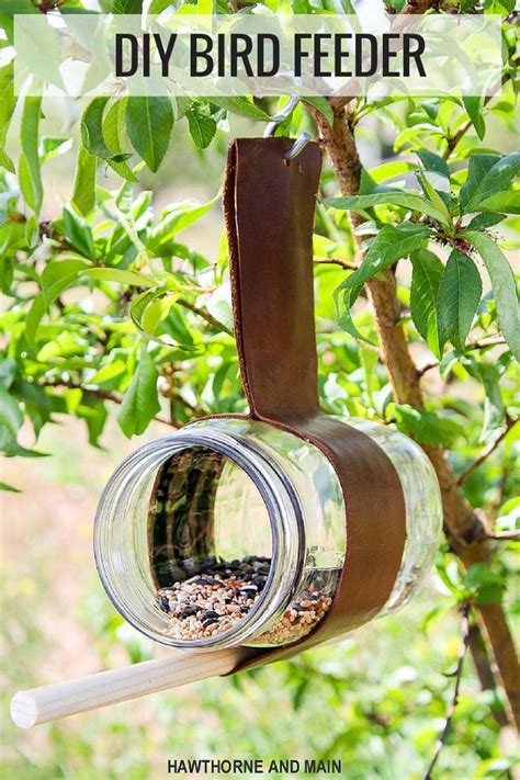 Diy Bird Feeders To Make