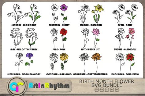 Birth Month Svg Bundle Flower Svg Birth Flower Svg Floral Svg Botanical