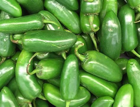 14 Best Peppers To Grow For Salsa In 2023 5 Levels Of Heat