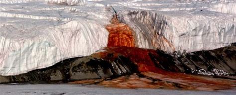 The Eerie Mystery Of Blood Falls In Antarctica Is Finally Solved