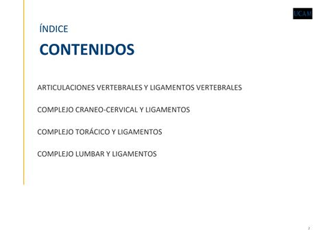 Solution Tema 8 Articulaciones De La Columna Vertebral Caja Tor Cica Y