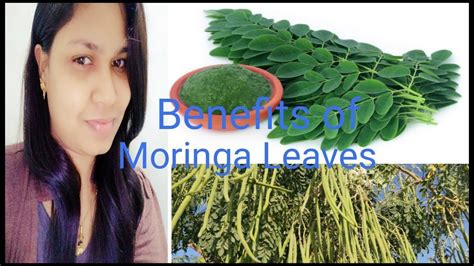 Moringa Health Benefits सहजन Drumstick For Health And Weight Loss Youtube