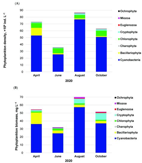 Phytoplankton Density A And Biomass B In Lake Sztynorckie