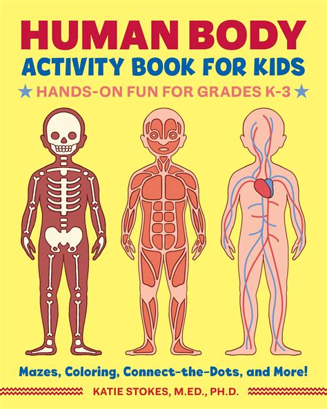 Human Body Activity Book For Kids Hands On Fun For Grades K 3