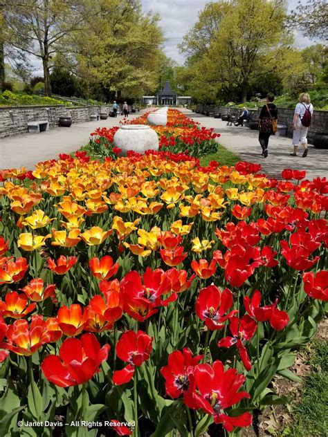 Botanical Gardens Burlington Ontario | Fasci Garden