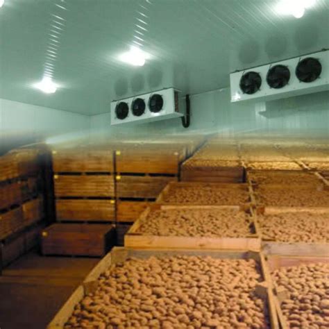 2500 Mt Potato Cold Storage In Bawana Delhi Ahata Industries