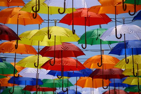 Free Images Sea Flower Wind Umbrella Colourful Color Colorful