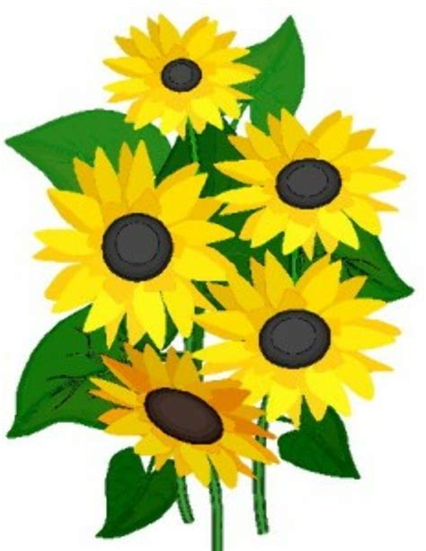 Download High Quality august clipart flower Transparent PNG Images ...