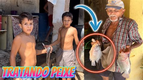 OS CATITOS PEGARAM PEIXE YouTube