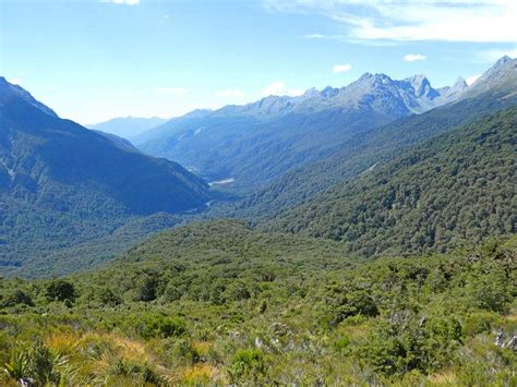 The best Fiordland National Park hiking trails - We12Travel