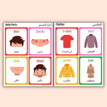 Bilingual English | Arabic Vocabulary Flashcards by New Creative Teacher