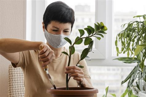 Consejos Para El Cuidado De Plantas Que Debes Conocer Una Planta