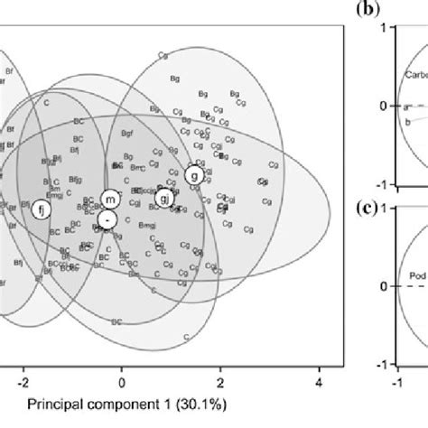 Summary Of The Numerical Clustering Process Of Soil Profiles