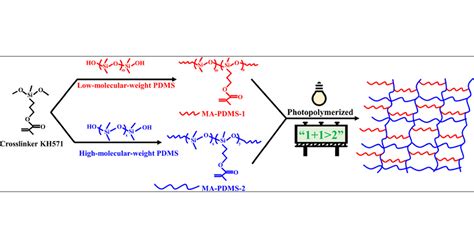 High Low Molecular Weight PDMS Photo Copolymerized Membranes For