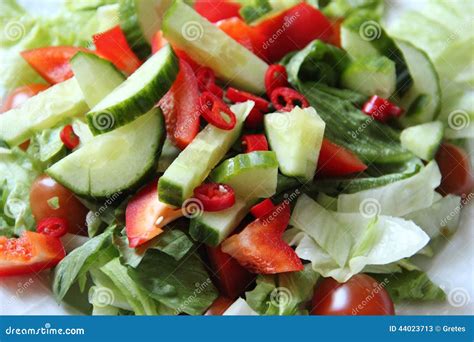 De Gezonde Salade Van De Voedsel Verse Groente Stock Afbeelding Image