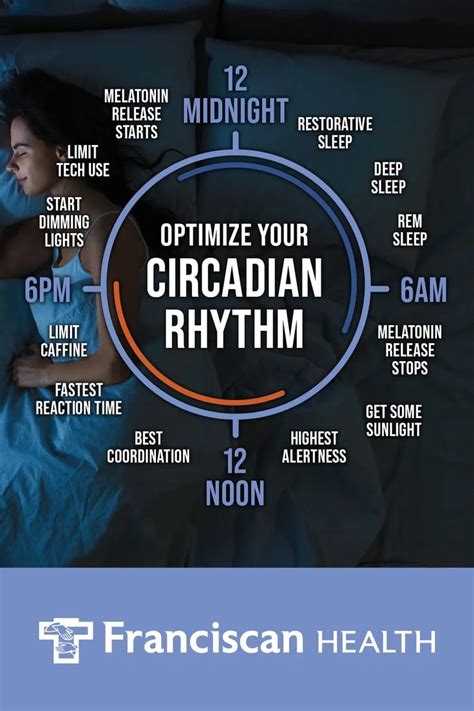 Understanding Your Bodys Circadian Rhythm Circadian Rhythm Rhythms