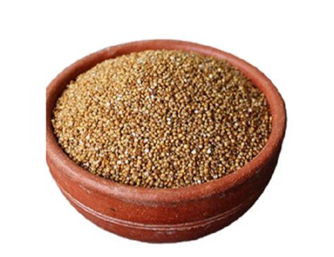 Organic Kodo Millet For Food High In Protein At Rs 110 Kg In Mumbai