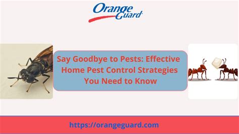 Ppt Say Goodbye To Pests Effective Home Pest Control Strategies You Need To Know Powerpoint