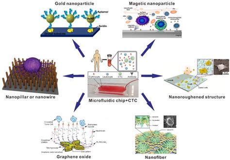 Nanomaterial Based Microfluidic Chips For The Capture And Detection Of