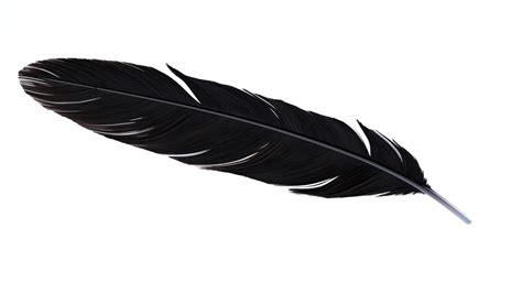 ArtStation - Crow Feather | Resources