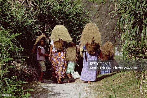 Ivatan people going farming always carry a basket strapped to their ...