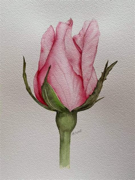 Pin By Kay Waldron On Painting Watercolor 3 Watercolor Flower Art