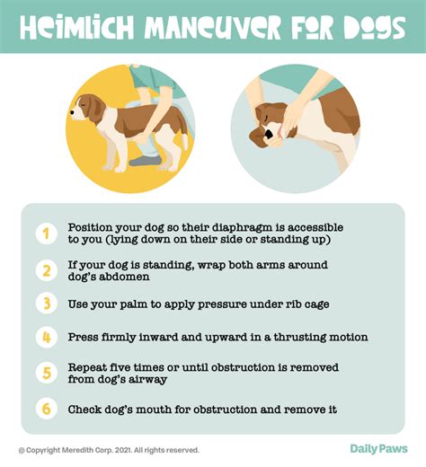 Safety Tips - Heimlich Manuever Dogs - Prevent Pet Suffocation