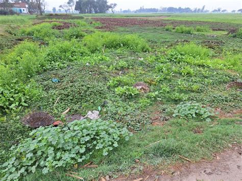 Villagers Upset Due To Water Accumulation In Fatehpur Mandav फतेहपुर मंडाव में पानी के जमाव से