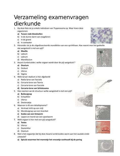 Examen 20 2019 Vragen En Antwoorden Verzameling Examenvragen