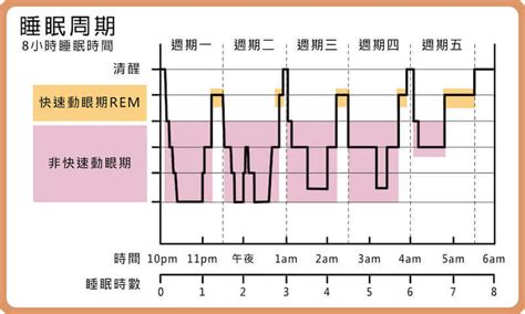 Rem睡眠 快速動眼期 與非快速動眼期是什麼？好處有哪些？