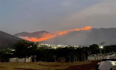 Arrasa con 300 hectáreas incendio forestal en Ixmiquilpan