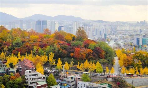 Korea Fall Foliage Forecast 2021 — 16 Best Place To See Autumn Leaves