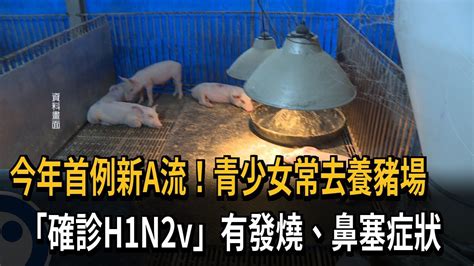 今年首例新a流！青少女常去養豬場 「確診h1n2v」有發燒、鼻塞症狀－民視新聞 Youtube