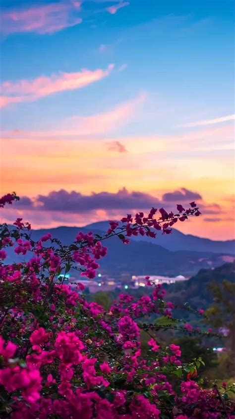 Beautiful – Artofit