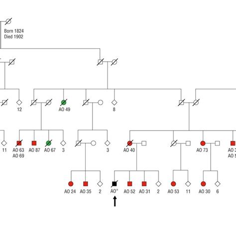 Pedigree Of A Kindred With Familial Melanoma The Observed Expected