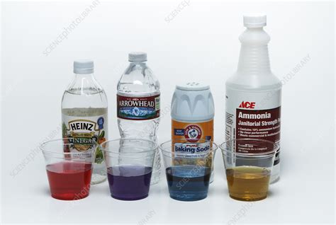 Red Cabbage Juice Indicator Stock Image C Science Photo