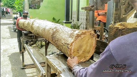 Kayu JatiBahan Rumah Jawa Di Rajang Gergaji Bandsaw Rakitan YouTube