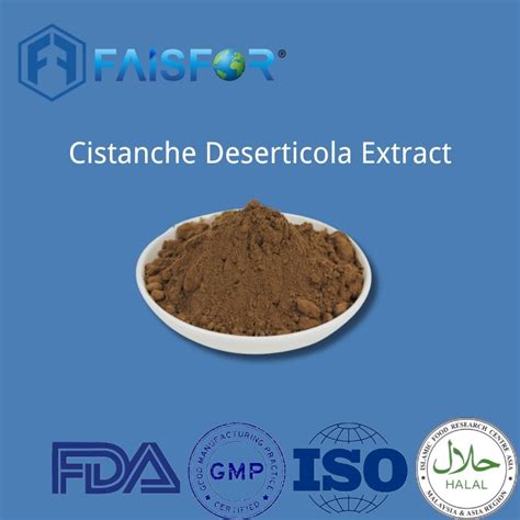 Factory Direct Sale Natural Plant Extract Cistanche Tubulosa Extract ...