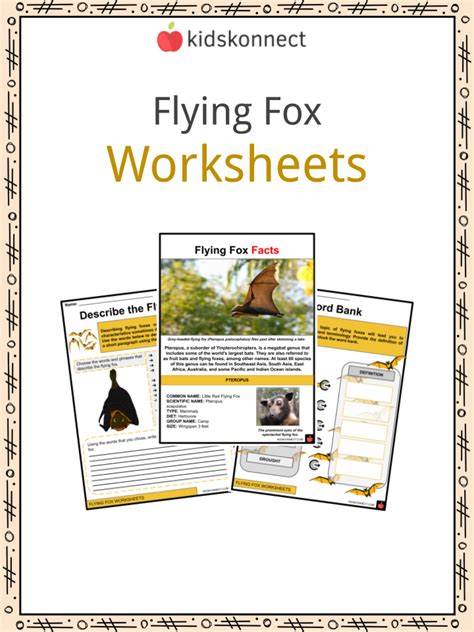 Flying Fox Worksheets And Facts Types Characteristics Habitat