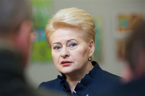 Lithuanian president on NATO: Much done, still more to do - the ...