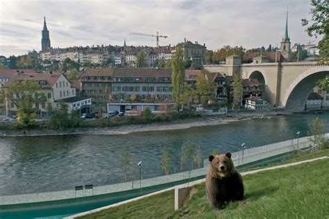 BärenPark (Bern Bear Park) | Switzerland Tourism