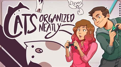 Cats Organized Neatly Cat Carrie Did Nothing Wrong Youtube