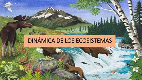 Din Mica De Los Ecosistemas Ppt